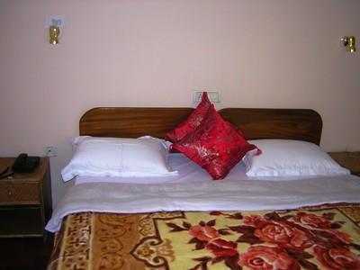 Tripvillas @ Snow Lion Homestay ダージリン エクステリア 写真